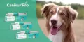 Video om Canikur Pro veterinær.Pasta, 15 ml
