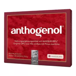 ANTHOGENOL Masquelier OPC Kapsler, 30 stk