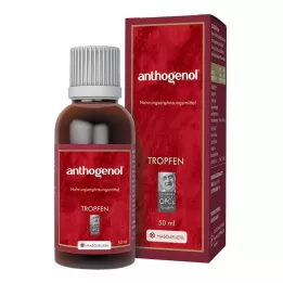 ANTHOGENOL Masquelier OPC Dråper, 50 ml