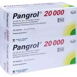 PANGROL 20 000 enterotabletter, 200 stk