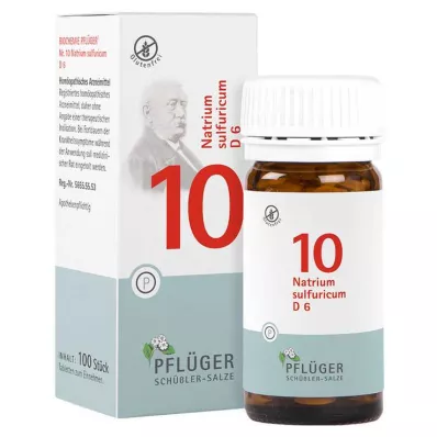 BIOCHEMIE Ploughmans Plaster 10 Natrium sulfuricum D 6 tbl, 100 stk
