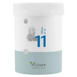 BIOCHEMIE Ploughmans Plaster 11 Silicea D 12 tabletter, 1000 stk