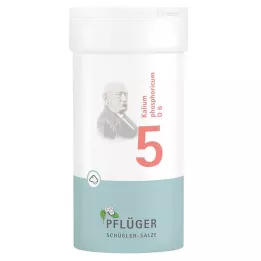 BIOCHEMIE Ploughmans Plaster 5 Kalium phosphoricum D 6 Pulver, 100 g
