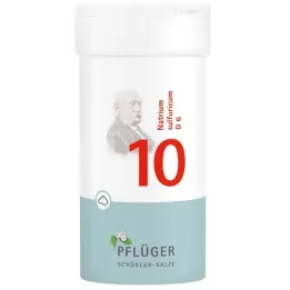 BIOCHEMIE Ploughmans Plaster 10 Natrium sulphuricum D 6 Pulver, 100 g