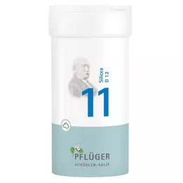 BIOCHEMIE Ploughmans 11 Silicea D 12 Pulver, 100 g
