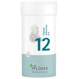 BIOCHEMIE Ploughmans Remedy 12 Calcium sulfuricum D 6 Pulver, 100 g