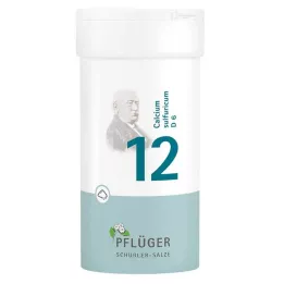 BIOCHEMIE Ploughmans Remedy 12 Calcium sulfuricum D 6 Pulver, 100 g