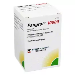 PANGROL 10 000 harde kapsler med enterisk belagt pell, 100 stk