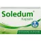 SOLEDUM 100 mg enterokapsler, 100 stk