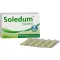 SOLEDUM 100 mg enterokapsler, 100 stk