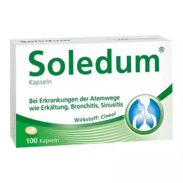 SOLEDUM 100 mg enterokapsler, 100 stk