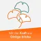 Ginkobil ratiopharm 120mg med Ginkgo biloba, 30 stk