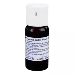 AESCULUS CORTEX Dekokt. grunntinktur D 1, 50 ml