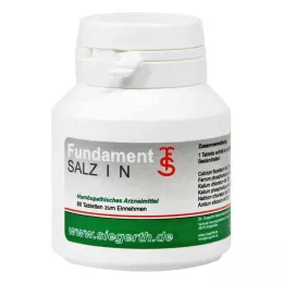 FUNDAMENT-Salt I N-tabletter, 4X80 st