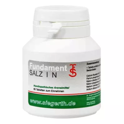 FUNDAMENT-Salt I N-tabletter, 4X80 st