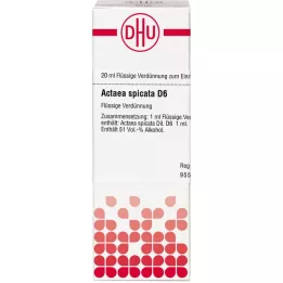 ACTAEA SPICATA D 6 Fortynning, 20 ml