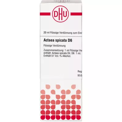 ACTAEA SPICATA D 6 Fortynning, 20 ml