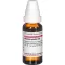 ACTAEA SPICATA D 6 Fortynning, 20 ml