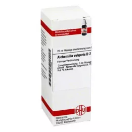 ALCHEMILLA VULGARIS D 2 Fortynning, 20 ml