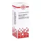 ASTERIAS RUBENS D 6 Fortynning, 20 ml
