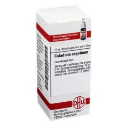 CALADIUM seguinum D 12 globuler, 10 g