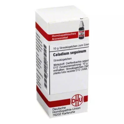 DHU Caladium seguinum D 12 kuler, 10 g DHU Caladium seguinum D 12 kuler, 10 g