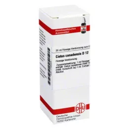 CISTUS CANADENSIS D 12 Fortynning, 20 ml