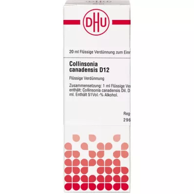 COLLINSONIA CANADENSIS D 12 Fortynning, 20 ml