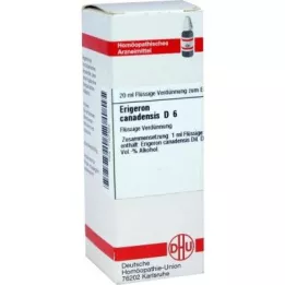 Erigeron Canadensis D6 Fortynning (20 ml)