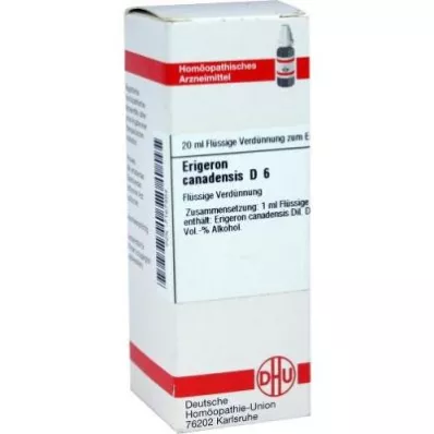 ERIGERON CANADENSIS D 6 Fortynning, 20 ml ERIGERON CANADENSIS D 6 Fortynning, 20 ml