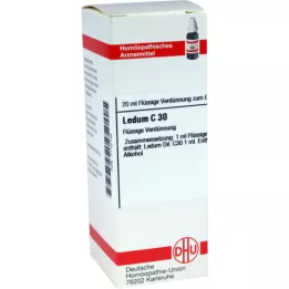 LEDUM C 30-fortynning, 20 ml