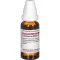 LEONURUS CARDIACA D 4 fortynning, 20 ml