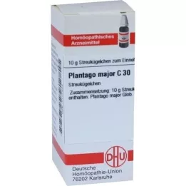 PLANTAGO MAJOR C 30 globuler, 10 g