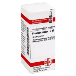 PLANTAGO MAJOR C 30 globuler, 10 g