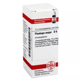 PLANTAGO MAJOR D 6 globuli, 10 g