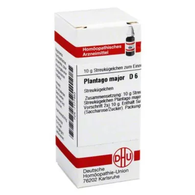 PLANTAGO MAJOR D 6 globuli, 10 g PLANTAGO MAJOR D 6 globuli, 10 g