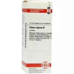 RIBES NIGRUM grunntinktur, 20 ml