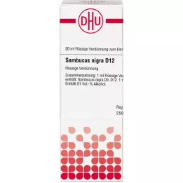 SAMBUCUS NIGRA D 12 Fortynning, 20 ml