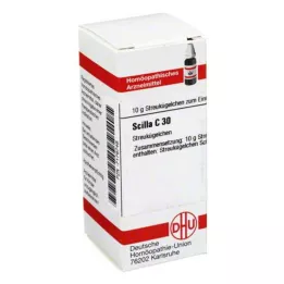 SCILLA C 30 globuler, 10 g