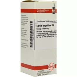 SERUM ANGUILLAE D 6 Fortynning, 20 ml