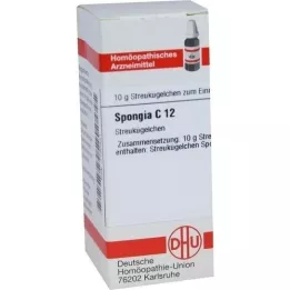 SPONGIA C 12 kuler, 10 g