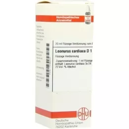 LEONURUS CARDIACA D 1 Fortynning, 20 ml