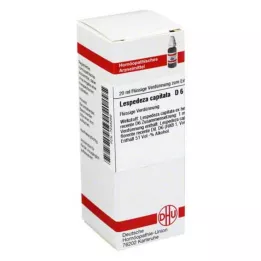 DHU Lespedeza capitata D 6 Fortynning, 20 ml