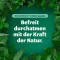 Bronchoforton® salve, 100 g