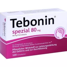 TEBONIN spesielle 80 mg filmdrasjerte tabletter, 120 stk