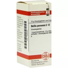 BELLIS PERENNIS C 12 kuler, 10 g