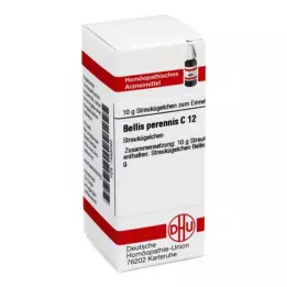 BELLIS PERENNIS C 12 kuler, 10 g