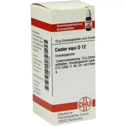 CASTOR equi D 12 kuler, 10 g