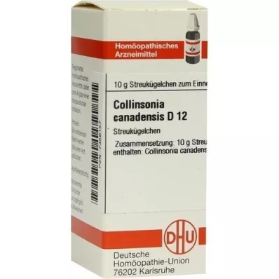 COLLINSONIA CANADENSIS D 12 globuler, 10 g