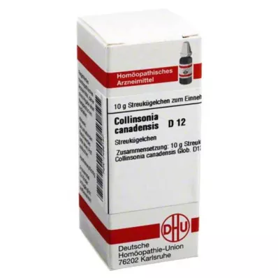 COLLINSONIA CANADENSIS D 12 globuler, 10 g